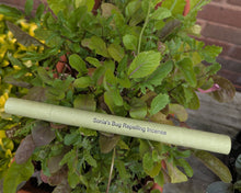 Load image into Gallery viewer, 12- Easy To Carry Mosquito Repelling Incense Sticks